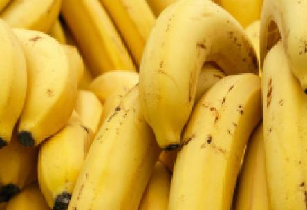 Photo: Many bananas