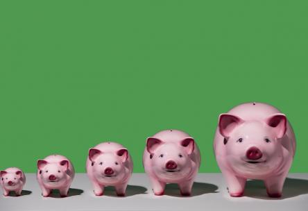 Photo: piggy bank graphic