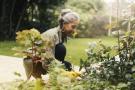 woman doing gardening 